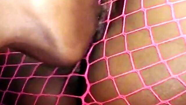 Bee Squirts through Fishnets