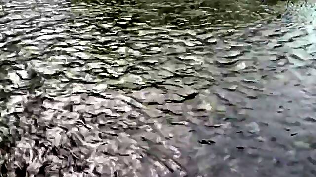 Tsukada Shiori And Ichijou Kimika - [htms-090] Henry Tsukamoto – Forbidden Attic Room – Mother’s (lewd) Body