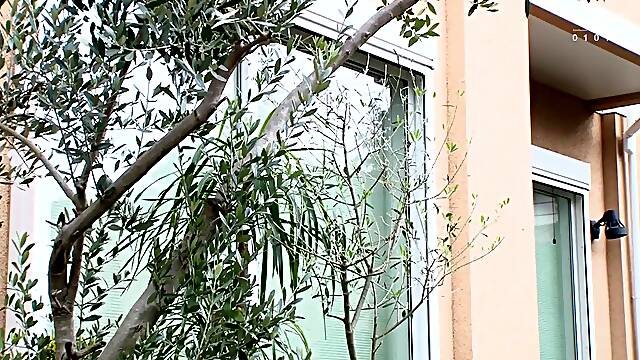 Rui Ayukawa And Mother In Law In Hone-254 Are You Avoiding