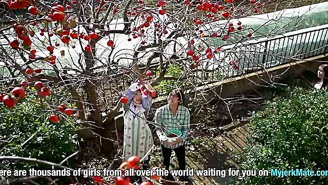 Contract Of Immortality Father In Law (Tsumugi) - Akari Tsumugi