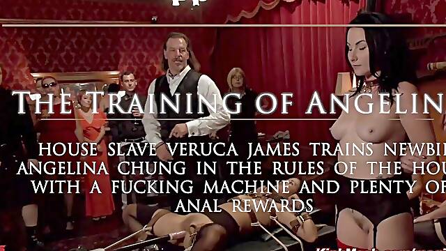 Slave trains newbie to serve knob