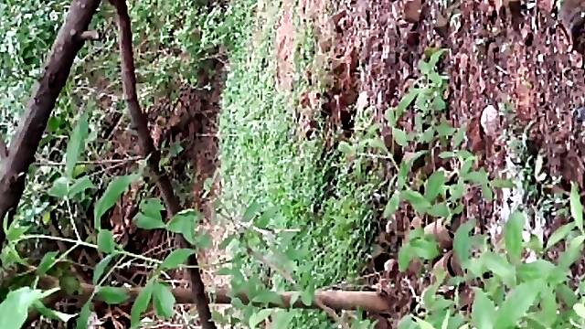 Mohini Bhabhi indian beautiful jungle fucked by turion teacher by outdoor